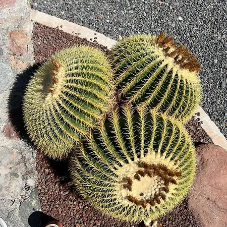 Appartamento Con Bano Adaptado Y Piscina En *